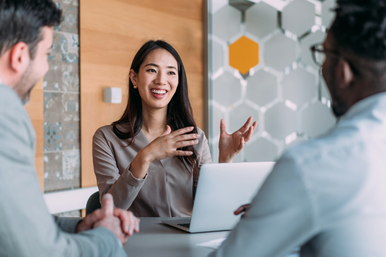The Professional Capability Series