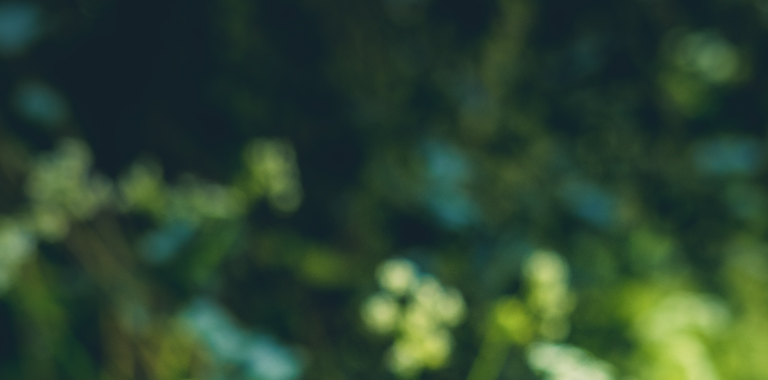 The Financial Adviser Accelerator Suite