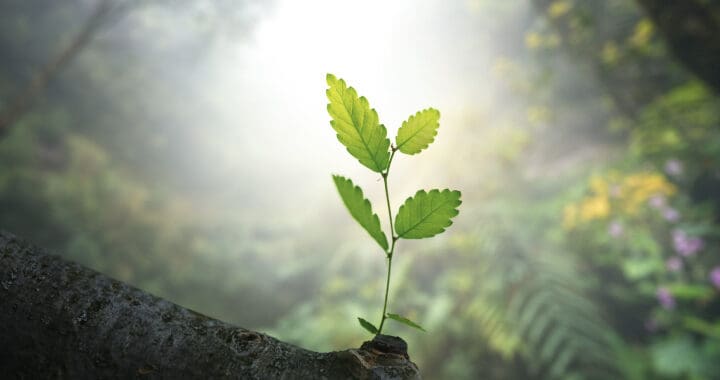 Kaplan Professional launches ground-breaking Financial Adviser Accelerator Suite to fast-track industry talent
