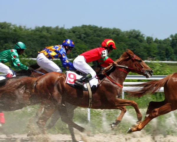 Investing In Horse Racing Syndicates Course